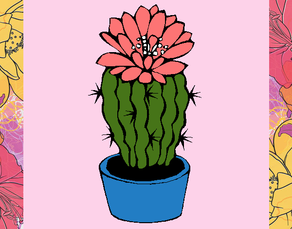 Cactus con flor