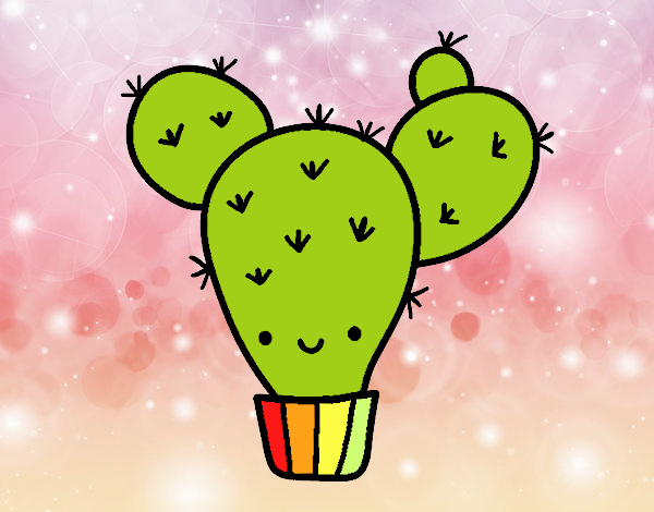 Cactus nopal