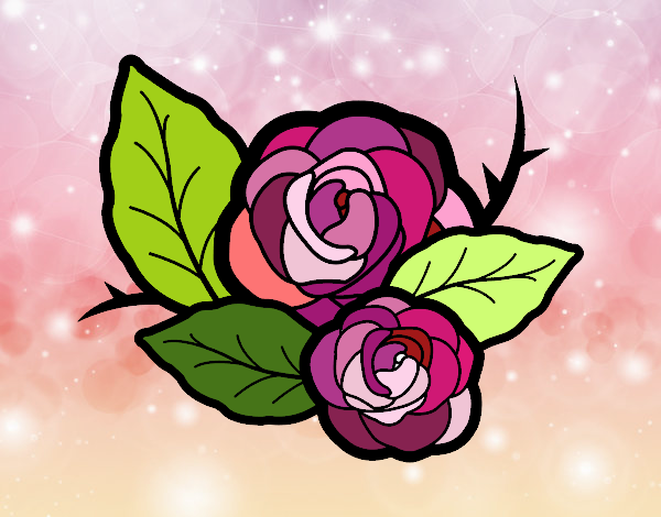 Dos rosas