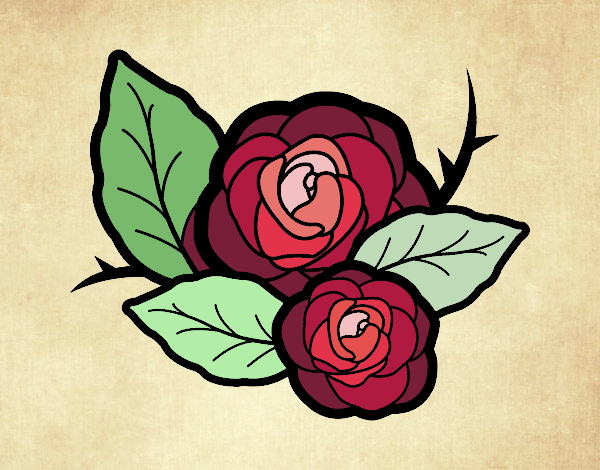 Dos rosas