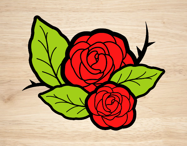 Dos rosas