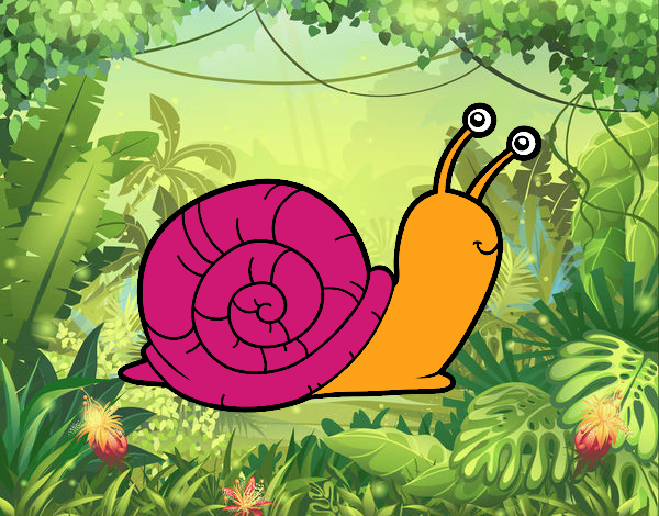 El caracol