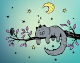 El gato y la luna