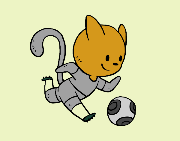 Gato jugando a fútbol