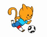 Gato jugando a fútbol