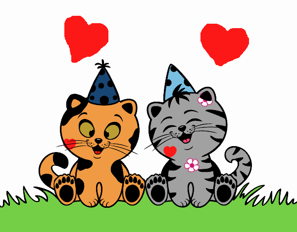 ¡Hoy es el cumpleaños de mis gatitos!