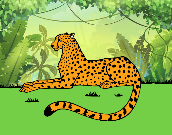 el leopardo de aitor.