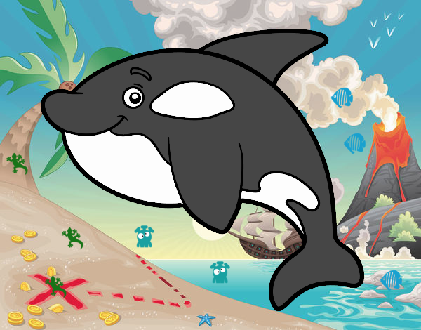 orca