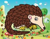 Pangolin