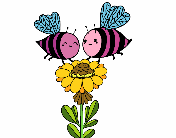 Pareja de abejas