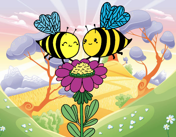 Pareja de abejas