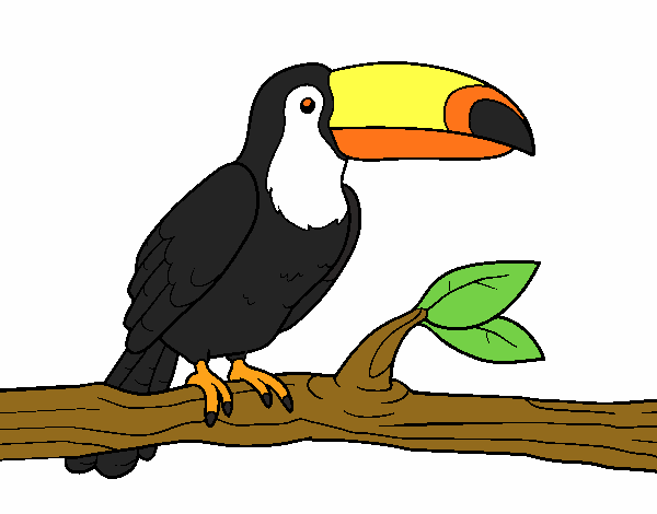 tucan