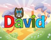 David