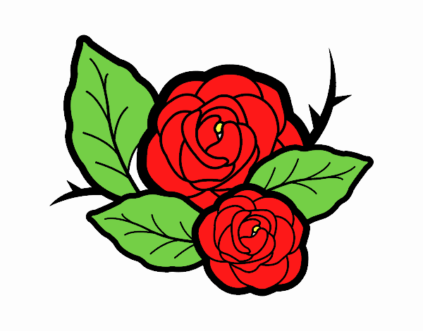 Dos rosas