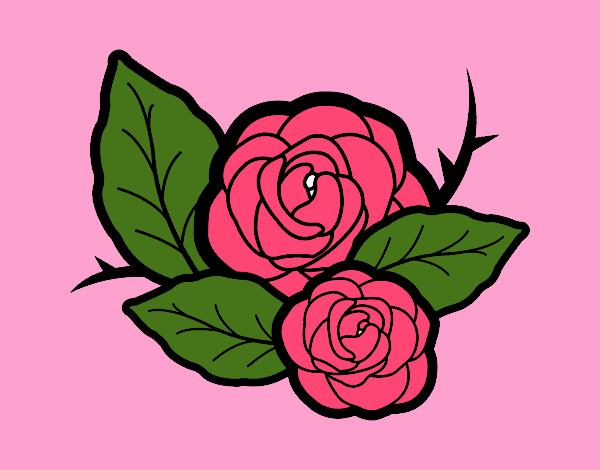 Dos rosas