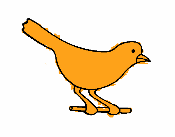 Pájaro 4