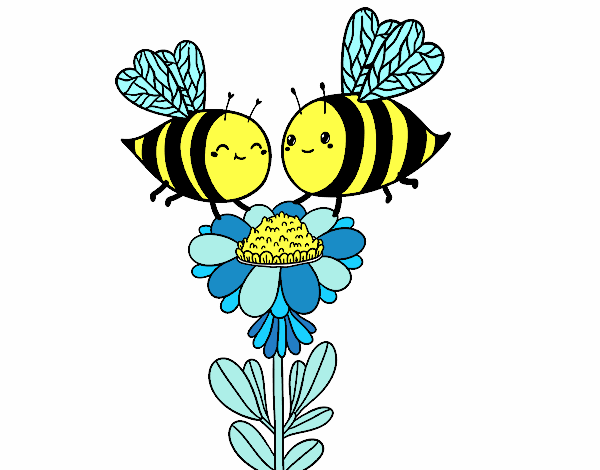 Pareja de abejas