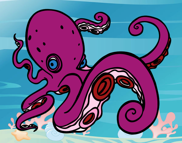 Pulpo enfadado