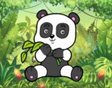 Un oso panda