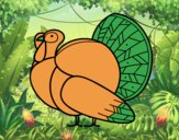 Un pavo