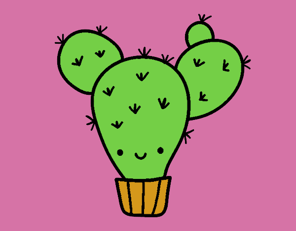 Cactus nopal