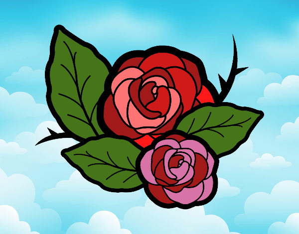 Dos rosas