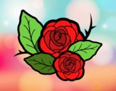 Dos rosas