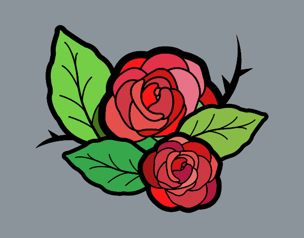 Dos rosas