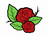 Dos rosas