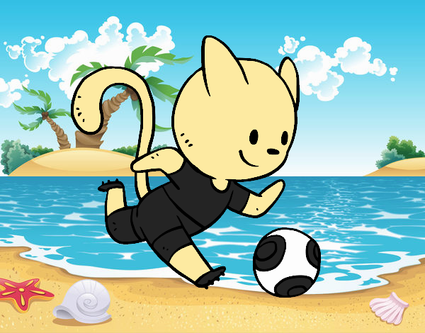 Gato jugando a fútbol