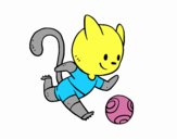 Gato jugando a fútbol