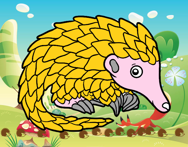 Pangolin