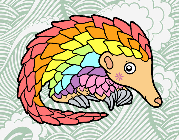 Pangolin