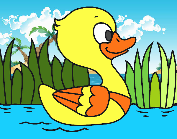 Patito de río