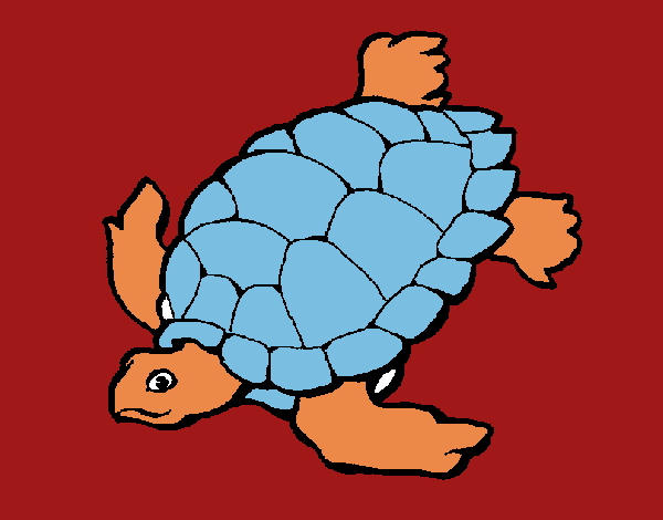 Tortuga