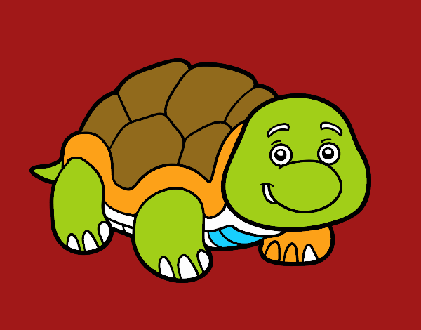 Tortuga de tierra