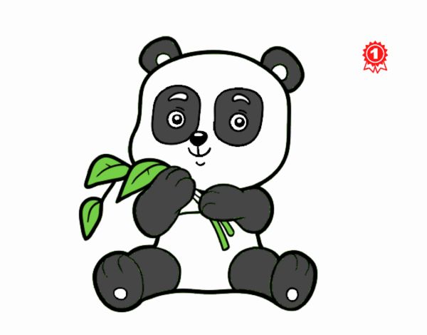 Un oso panda