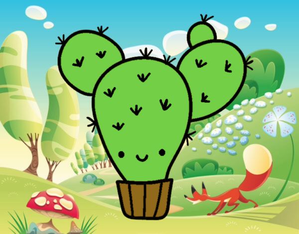 Cactus kawai.