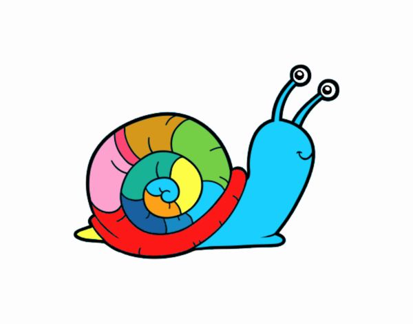 El caracol