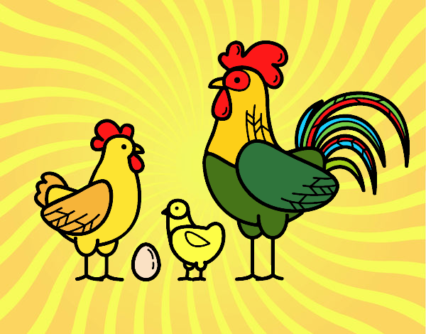 Familia gallina