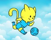 Gato jugando a fútbol