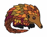 Pangolin