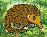 Pangolin