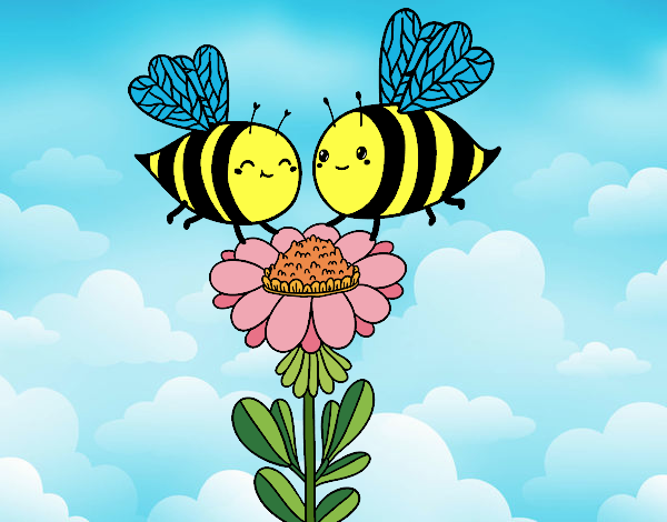 Pareja de abejas