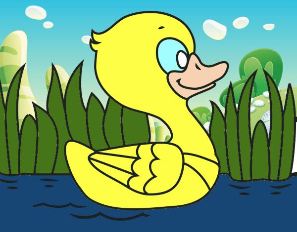 Patito de río