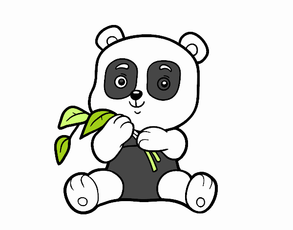 Un oso panda