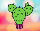 Cactus nopal