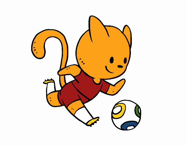 Gato jugando a fútbol