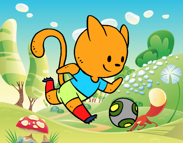 Gato jugando a fútbol