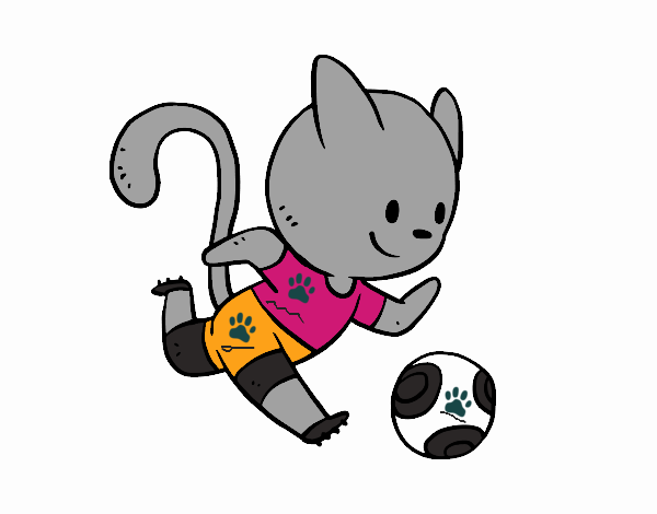 Gato jugando a fútbol